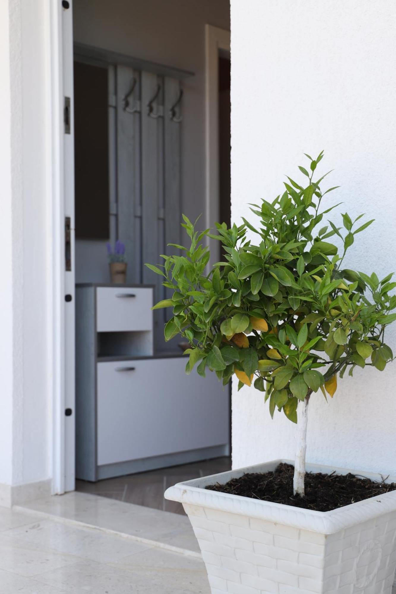 Tea Residence, Gjiri I Lalzit Apartments Durres Exterior photo